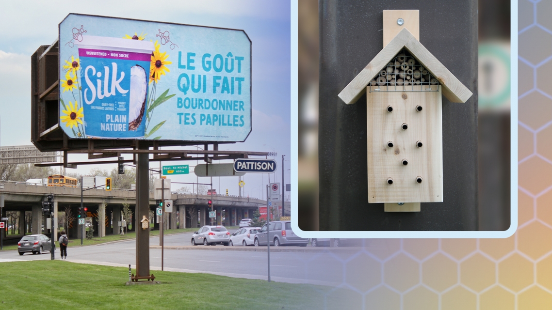 pattison-outdoor-silk-udem-world-bee-day-nest-box-ooh-installation-lead-image