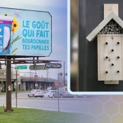 pattison-outdoor-silk-udem-world-bee-day-nest-box-ooh-installation-lead-image