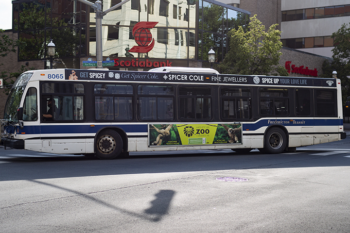 Moncton_KingPoster_Extension_MagneticHillZoo_FrederictonTransit_AUG21